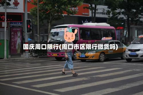 国庆周口限行(周口市区限行微货吗)-第3张图片