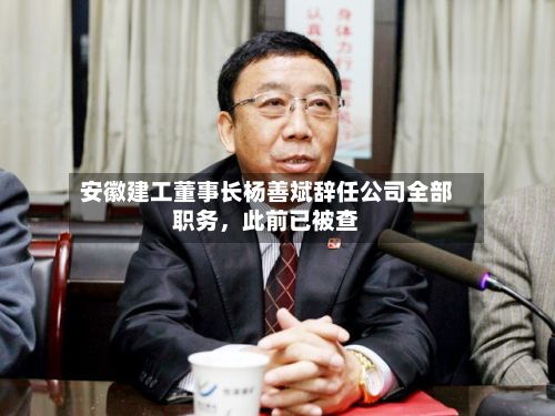 安徽建工董事长杨善斌辞任公司全部职务	，此前已被查-第2张图片