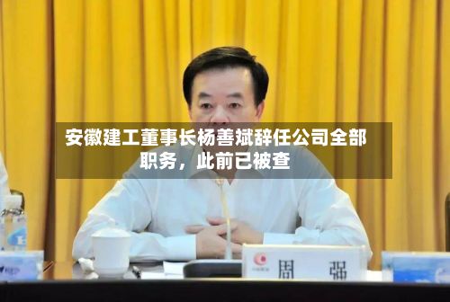 安徽建工董事长杨善斌辞任公司全部职务，此前已被查-第1张图片