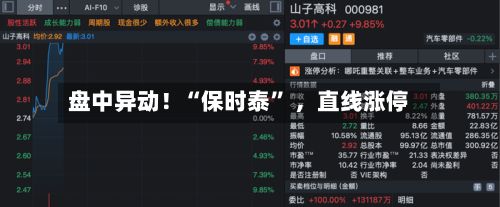 盘中异动！“保时泰” ，直线涨停