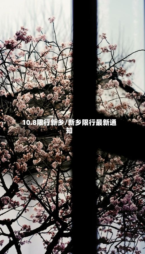 10.8限行新乡/新乡限行最新通知