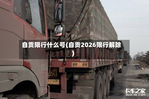 自贡限行什么号(自贡2026限行解除)