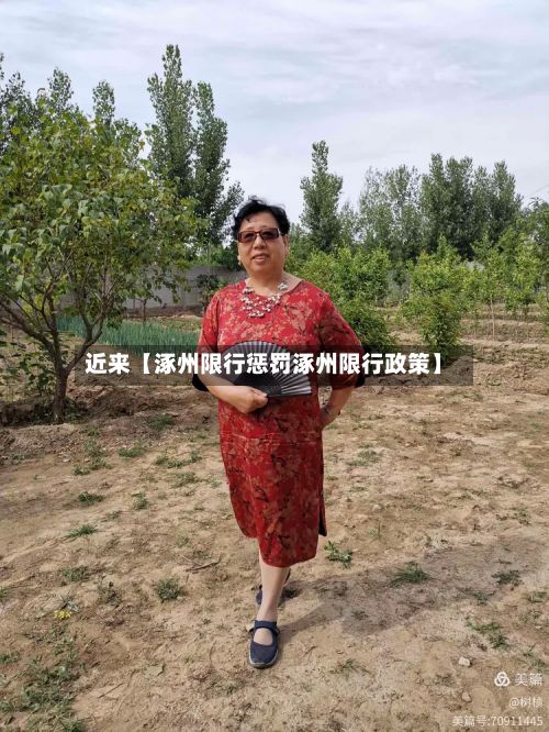 近来【涿州限行惩罚涿州限行政策】-第2张图片