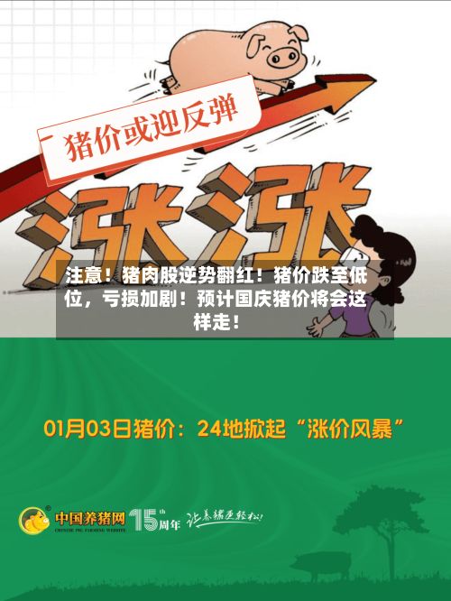 注意！猪肉股逆势翻红！猪价跌至低位，亏损加剧！预计国庆猪价将会这样走！-第1张图片