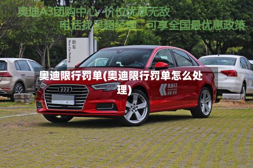 奥迪限行罚单(奥迪限行罚单怎么处理)-第3张图片