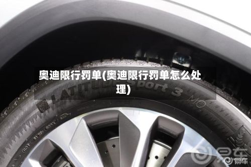 奥迪限行罚单(奥迪限行罚单怎么处理)-第2张图片