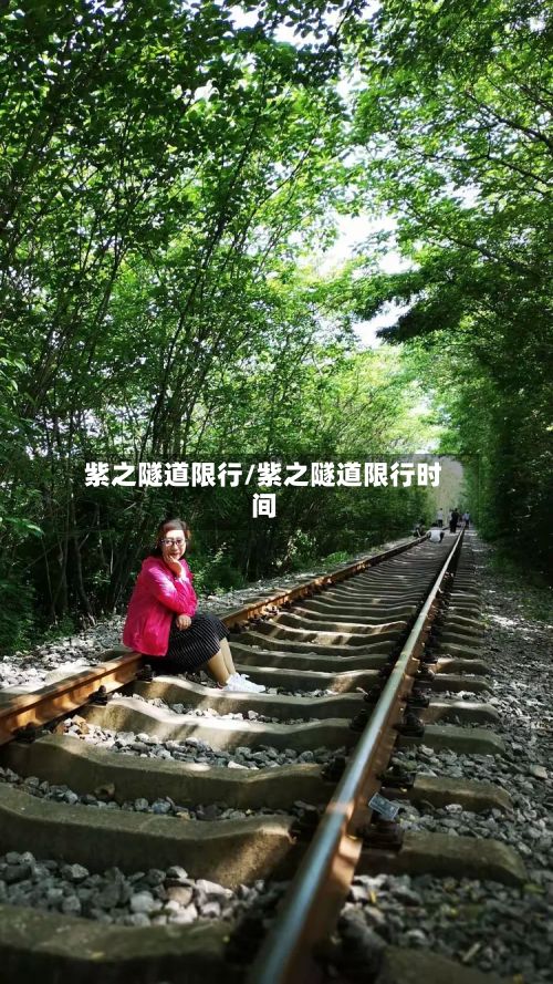 紫之隧道限行/紫之隧道限行时间
