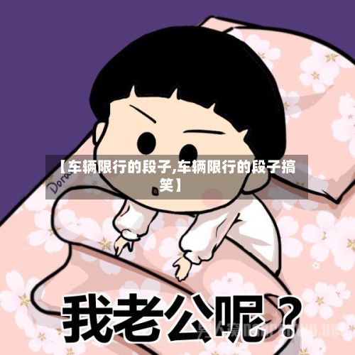 【车辆限行的段子,车辆限行的段子搞笑】-第3张图片