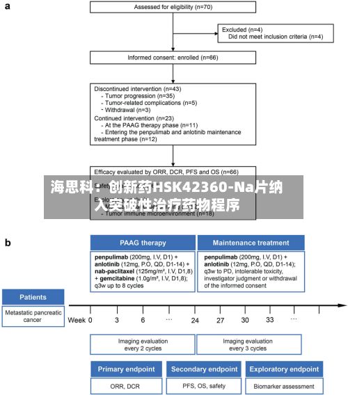 海思科：创新药HSK42360-Na片纳入突破性治疗药物程序