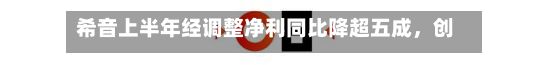 希音上半年经调整净利同比降超五成，创始人许仰天：对下半年这一指标持谨慎乐观态度
