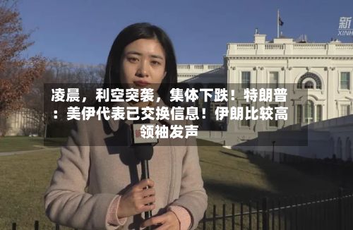 凌晨，利空突袭，集体下跌！特朗普：美伊代表已交换信息！伊朗比较高领袖发声-第3张图片