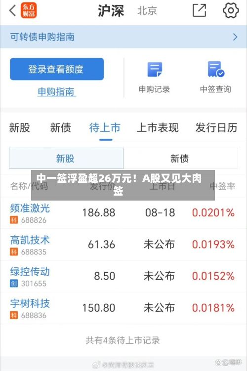 中一签浮盈超26万元！A股又见大肉签-第2张图片