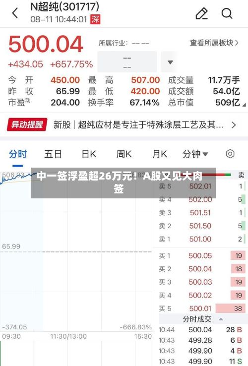 中一签浮盈超26万元！A股又见大肉签