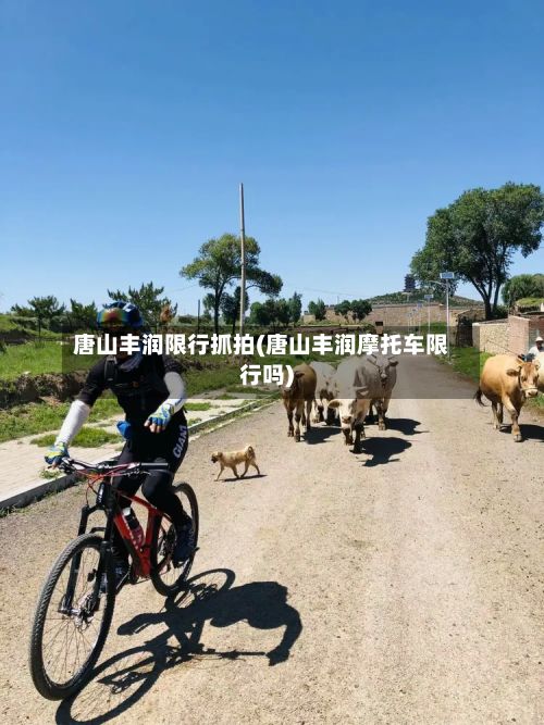 唐山丰润限行抓拍(唐山丰润摩托车限行吗)-第2张图片