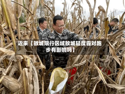 近来【故城限行区域故城轻度霾对跑步有影响吗】-第2张图片