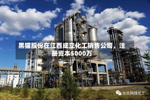 黑猫股份在江西成立化工销售公司	，注册资本5000万-第2张图片