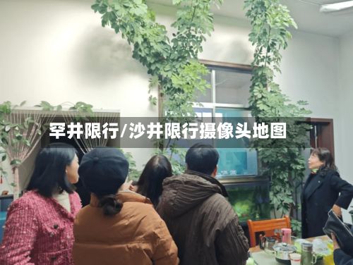 罕井限行/沙井限行摄像头地图-第3张图片