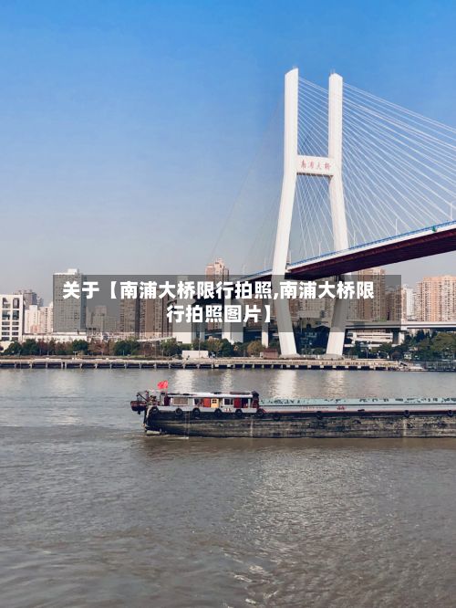 关于【南浦大桥限行拍照,南浦大桥限行拍照图片】-第2张图片