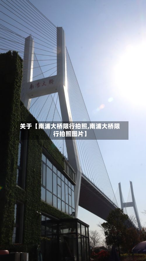 关于【南浦大桥限行拍照,南浦大桥限行拍照图片】