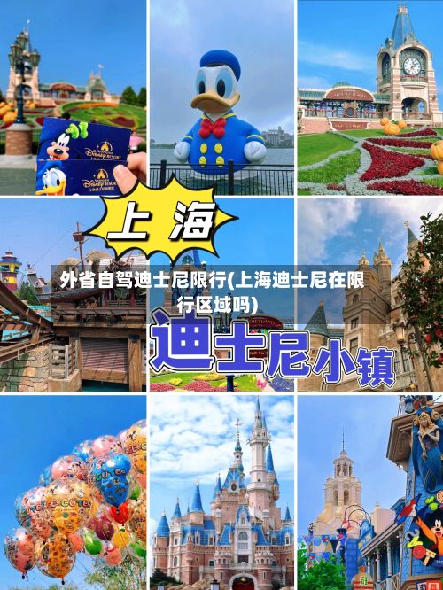 外省自驾迪士尼限行(上海迪士尼在限行区域吗)-第2张图片
