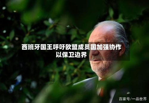 西班牙国王呼吁欧盟成员国加强协作以保卫边界