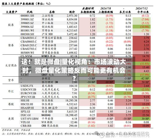 这！就是微盘|量化视角：市场波动大时，微盘量化策略反而可能更有机会？-第2张图片