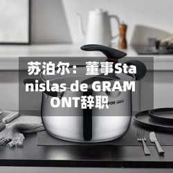 苏泊尔：董事Stanislas de GRAMONT辞职-第2张图片
