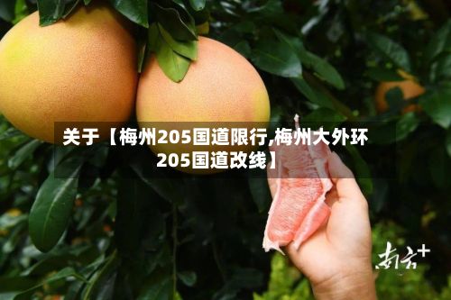 关于【梅州205国道限行,梅州大外环205国道改线】