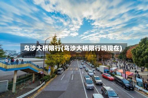 乌沙大桥限行(乌沙大桥限行吗现在)-第3张图片