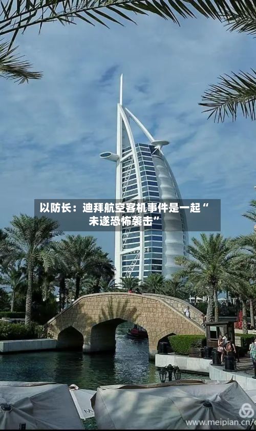 以防长：迪拜航空客机事件是一起“未遂恐怖袭击	”-第2张图片