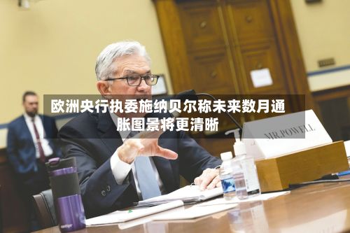 欧洲央行执委施纳贝尔称未来数月通胀图景将更清晰-第2张图片