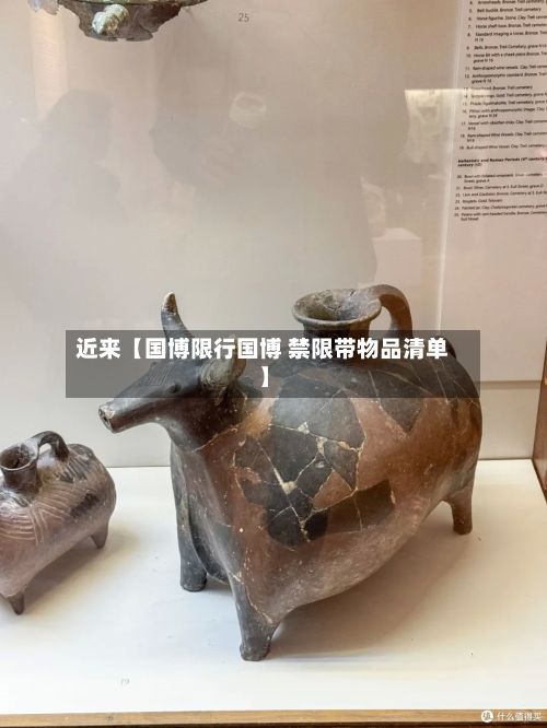 近来【国博限行国博 禁限带物品清单】