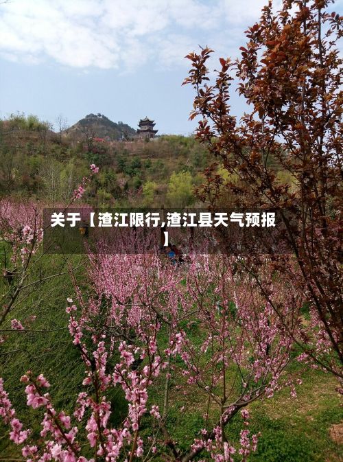 关于【渣江限行,渣江县天气预报】-第3张图片