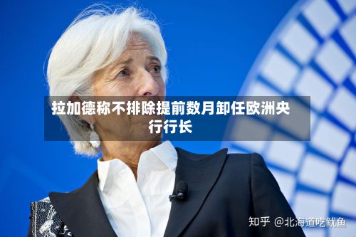 拉加德称不排除提前数月卸任欧洲央行行长-第3张图片