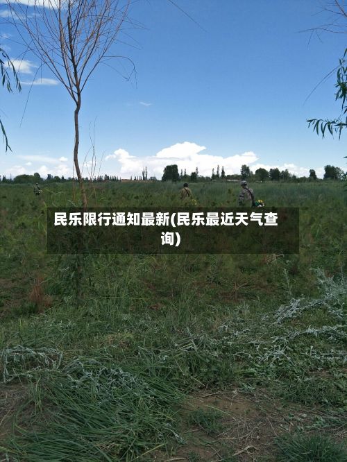 民乐限行通知最新(民乐最近天气查询)-第3张图片