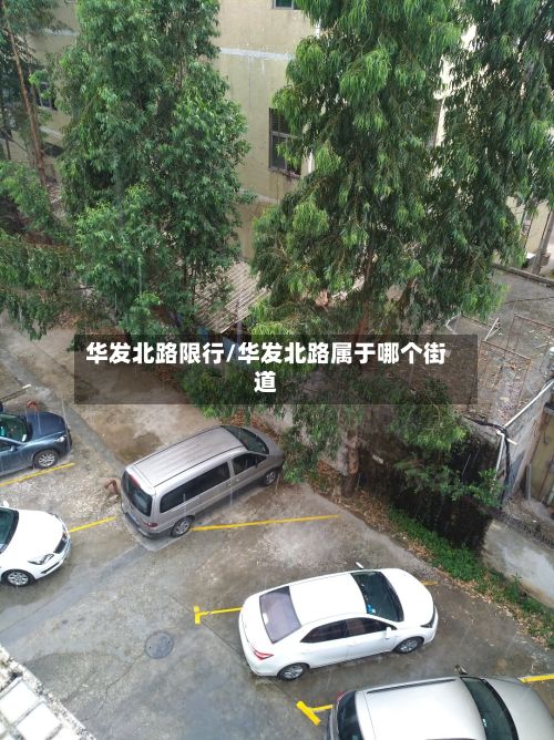 华发北路限行/华发北路属于哪个街道-第2张图片