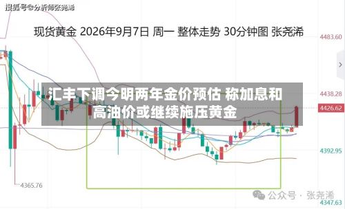 汇丰下调今明两年金价预估 称加息和高油价或继续施压黄金-第2张图片