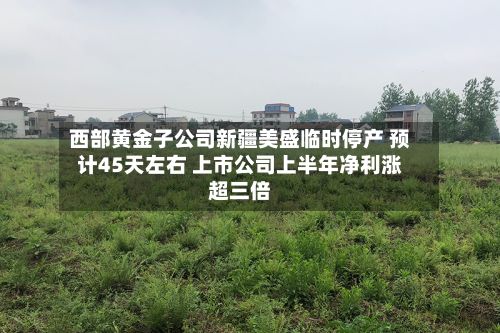 西部黄金子公司新疆美盛临时停产 预计45天左右 上市公司上半年净利涨超三倍-第1张图片