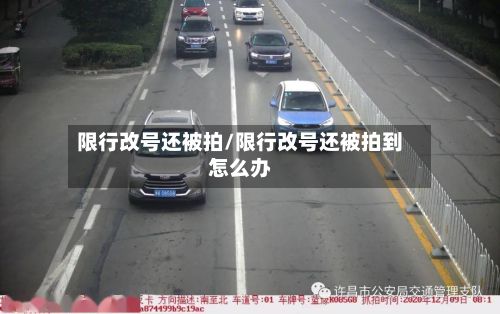 限行改号还被拍/限行改号还被拍到怎么办-第2张图片