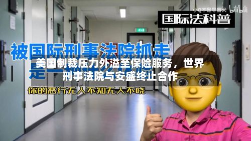美国制裁压力外溢至保险服务，世界刑事法院与安盛终止合作-第2张图片
