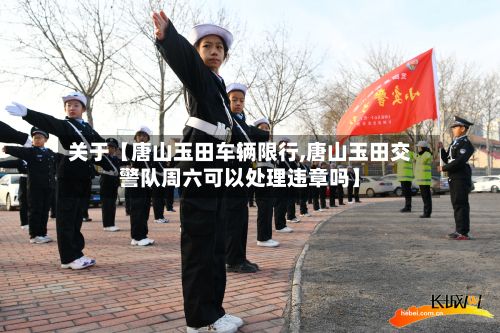 关于【唐山玉田车辆限行,唐山玉田交警队周六可以处理违章吗】-第3张图片