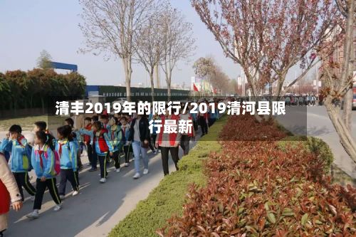 清丰2019年的限行/2019清河县限行最新-第2张图片