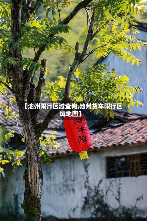 【池州限行区域查询,池州货车限行区域地图】-第2张图片