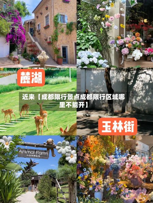 近来【成都限行景点成都限行区域哪里不能开】