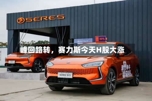 峰回路转	，赛力斯今天H股大涨-第3张图片
