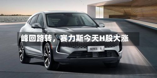 峰回路转，赛力斯今天H股大涨