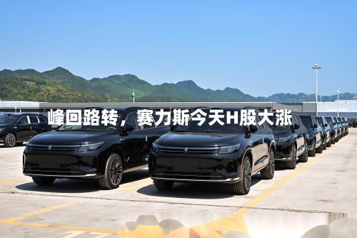 峰回路转	，赛力斯今天H股大涨-第2张图片