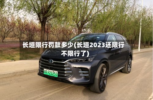长垣限行罚款多少(长垣2023还限行不限行了)-第3张图片