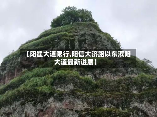 【阳瞿大道限行,阳信大济路以东滨阳大道最新进展】