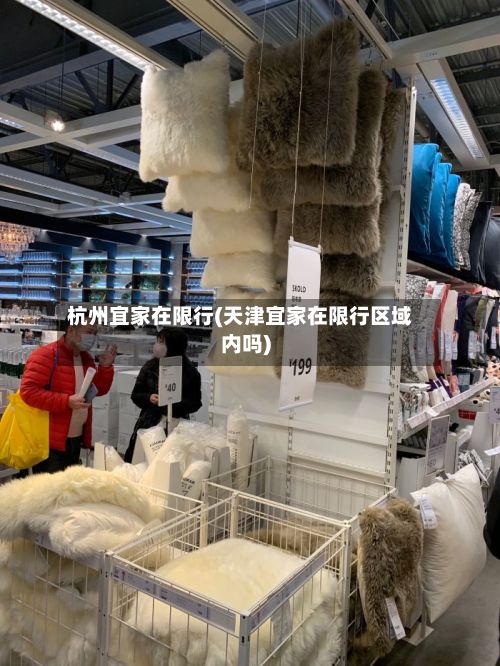 杭州宜家在限行(天津宜家在限行区域内吗)-第2张图片